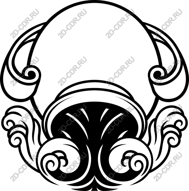 Elegant vector design in nautical theme